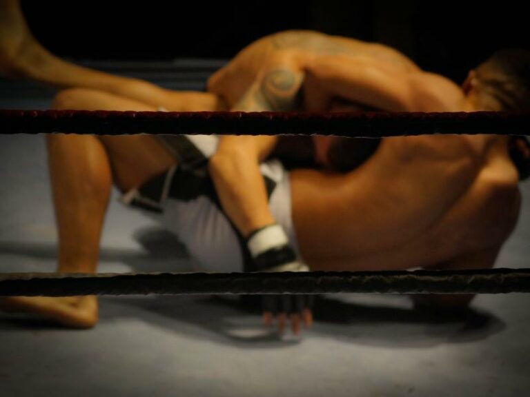 combat entraînement mma au sol a albi