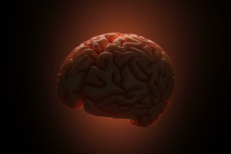 Illustration du mental et de la concentration développés grâce à la boxe anglaise à Albi